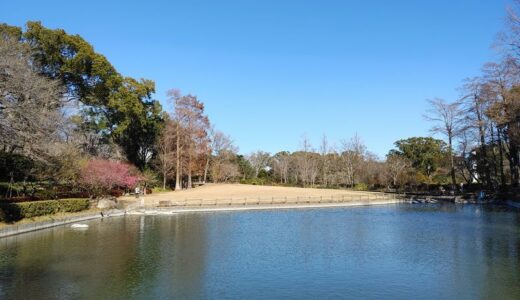 気づきの瞑想ができない原因