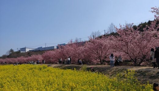 悟り・解脱に関する補足講座～2022年4月11日開催