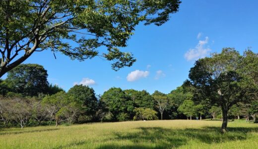 浜松市の気功教室「ゆるっと気功」