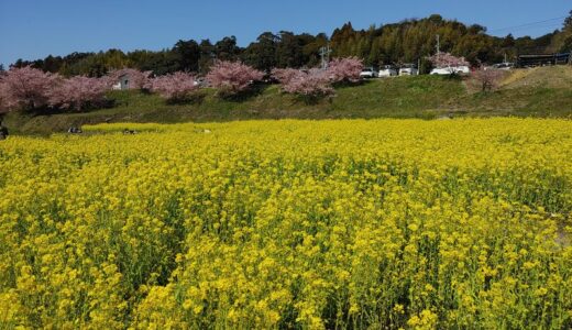 代理で受ける天啓気療も効果がある【2023年4月1日】