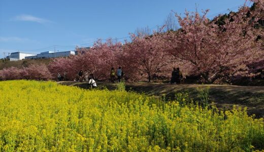 瞑想で人生が変わる～縁のある方々の意識の向上