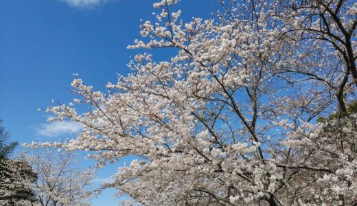 瞑想では思考・考えが出ることは良くないのか？