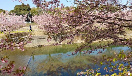 「手放す」「何もしない」における注意点と智慧の大切さ