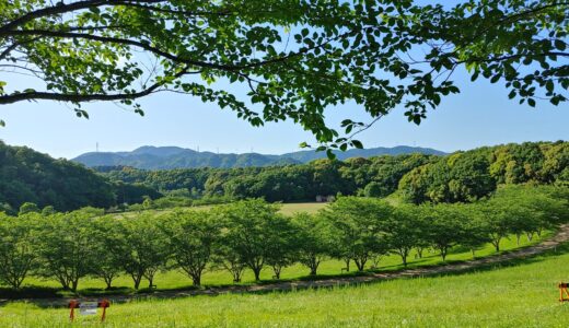 瞑想は「リラックス」と「あるがままに気づく」が要