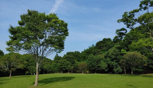 瞑想は「リラックス」と「あるがままに気づく」が要