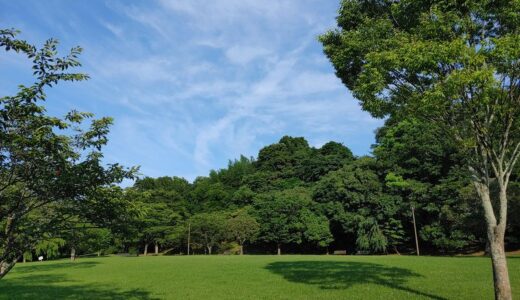 平日瞑想会レポート 2025.3.5～天啓気療を併用した瞑想実践の効果はパワフル！