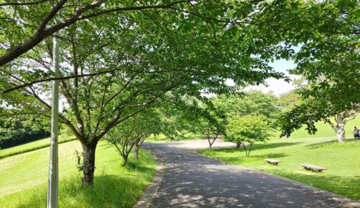 ゆるっと瞑想会に初めて参加した方へ【瞑想入門】