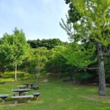 瞑想・気功教室【浜松】