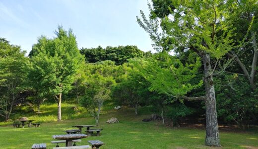 瞑想を続けてどう変わった？ゆるっと瞑想会・参加者の体験談【浜松市】